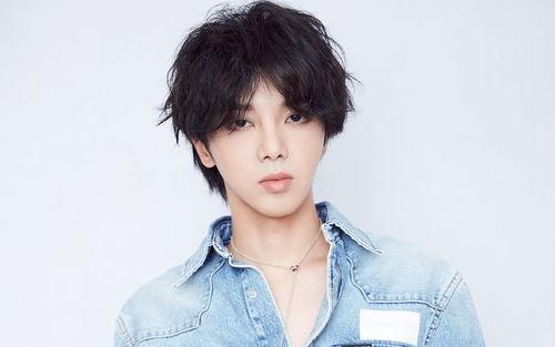 圈内爆料王悦伊是谁,王悦伊，娱乐圈的神秘新星