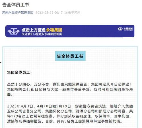永雄公司员工爆料视频,揭露公司内幕与真实情况